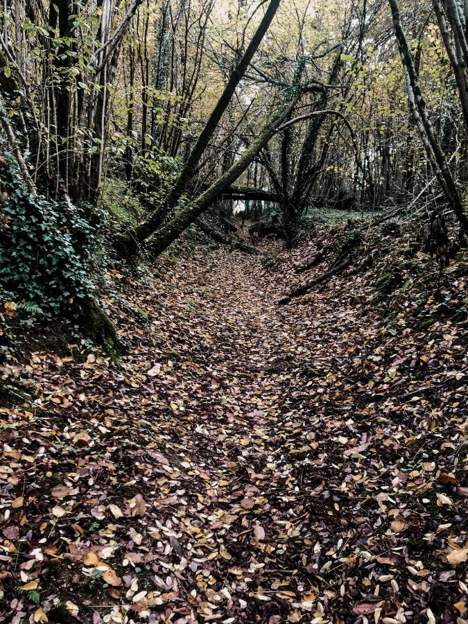 La Ferme Du Pont De Maumy, Cabane Au Bord De L'Etang Et Bain Nordique Busserolles Bagian luar foto