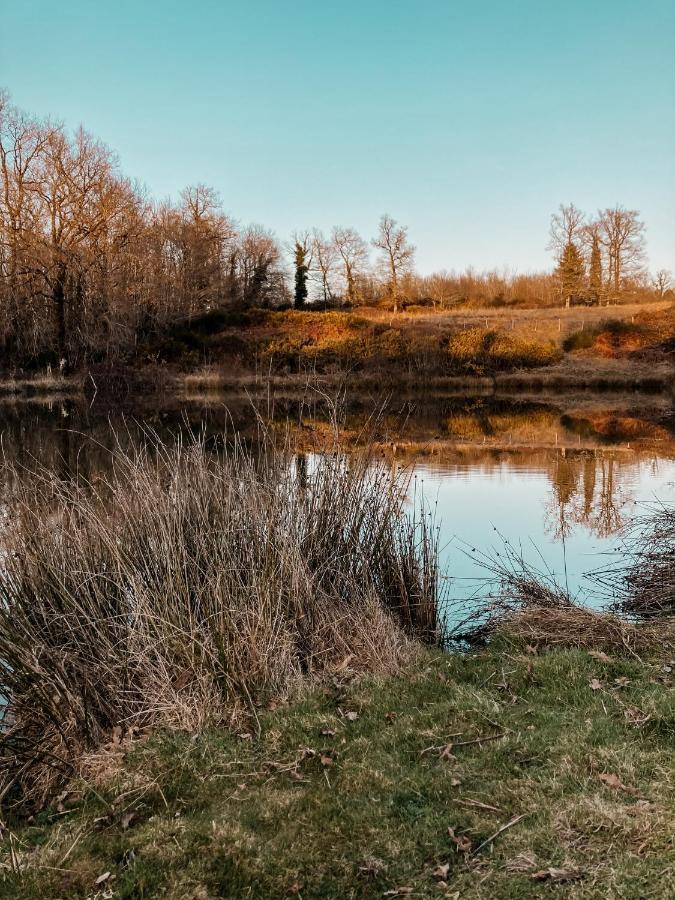 La Ferme Du Pont De Maumy, Cabane Au Bord De L'Etang Et Bain Nordique Busserolles Bagian luar foto