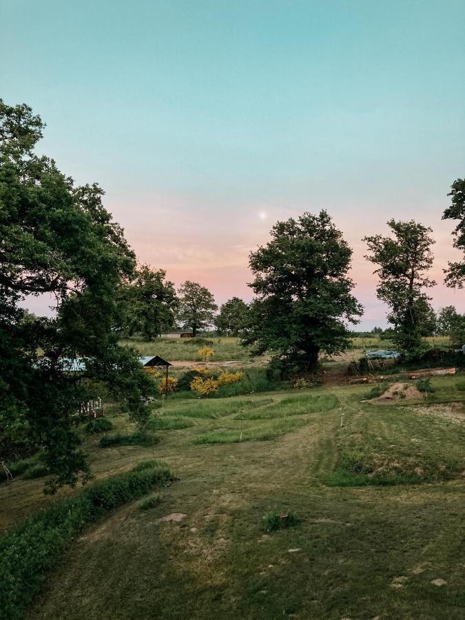 La Ferme Du Pont De Maumy, Cabane Au Bord De L'Etang Et Bain Nordique Busserolles Bagian luar foto