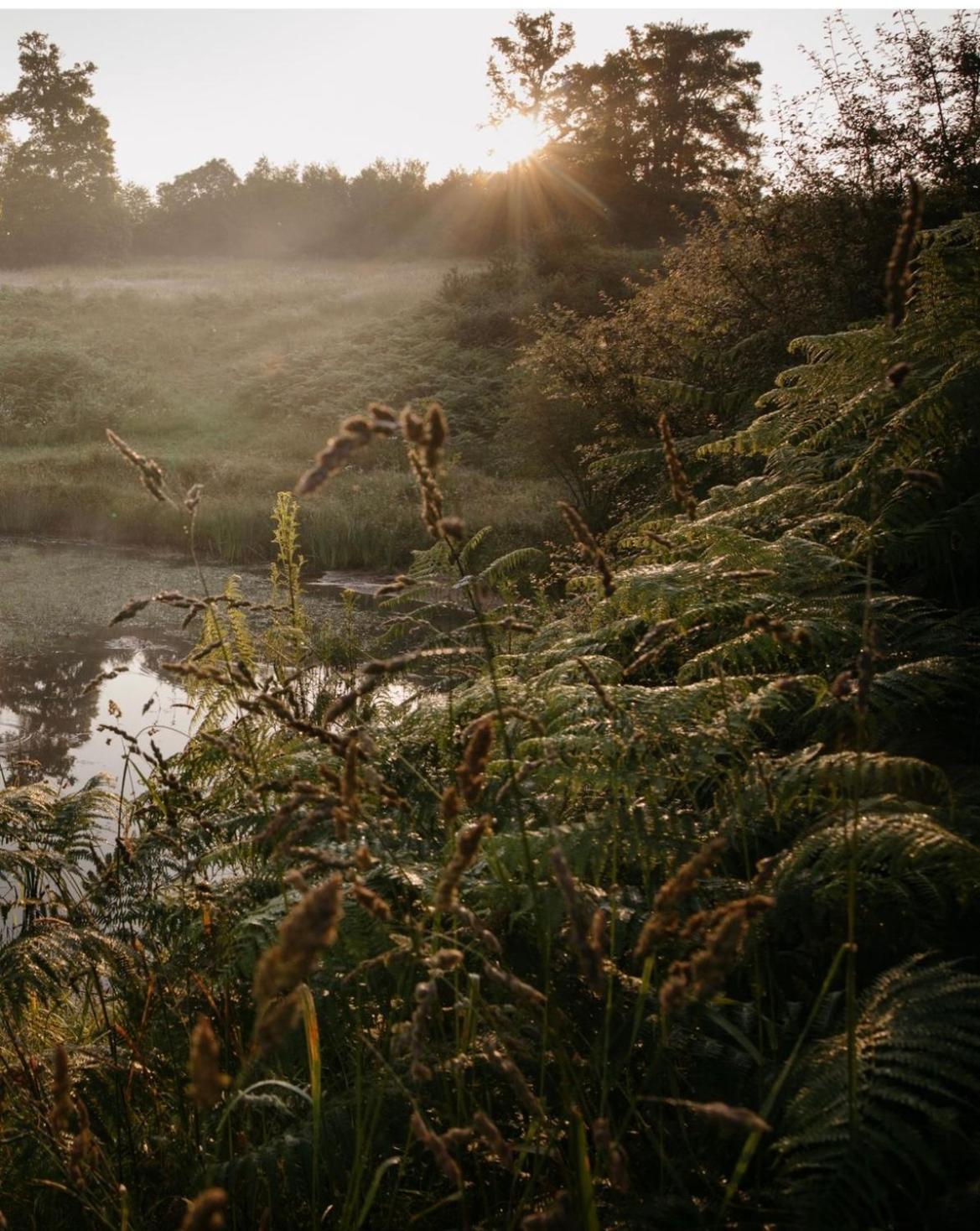 La Ferme Du Pont De Maumy, Cabane Au Bord De L'Etang Et Bain Nordique Busserolles Bagian luar foto