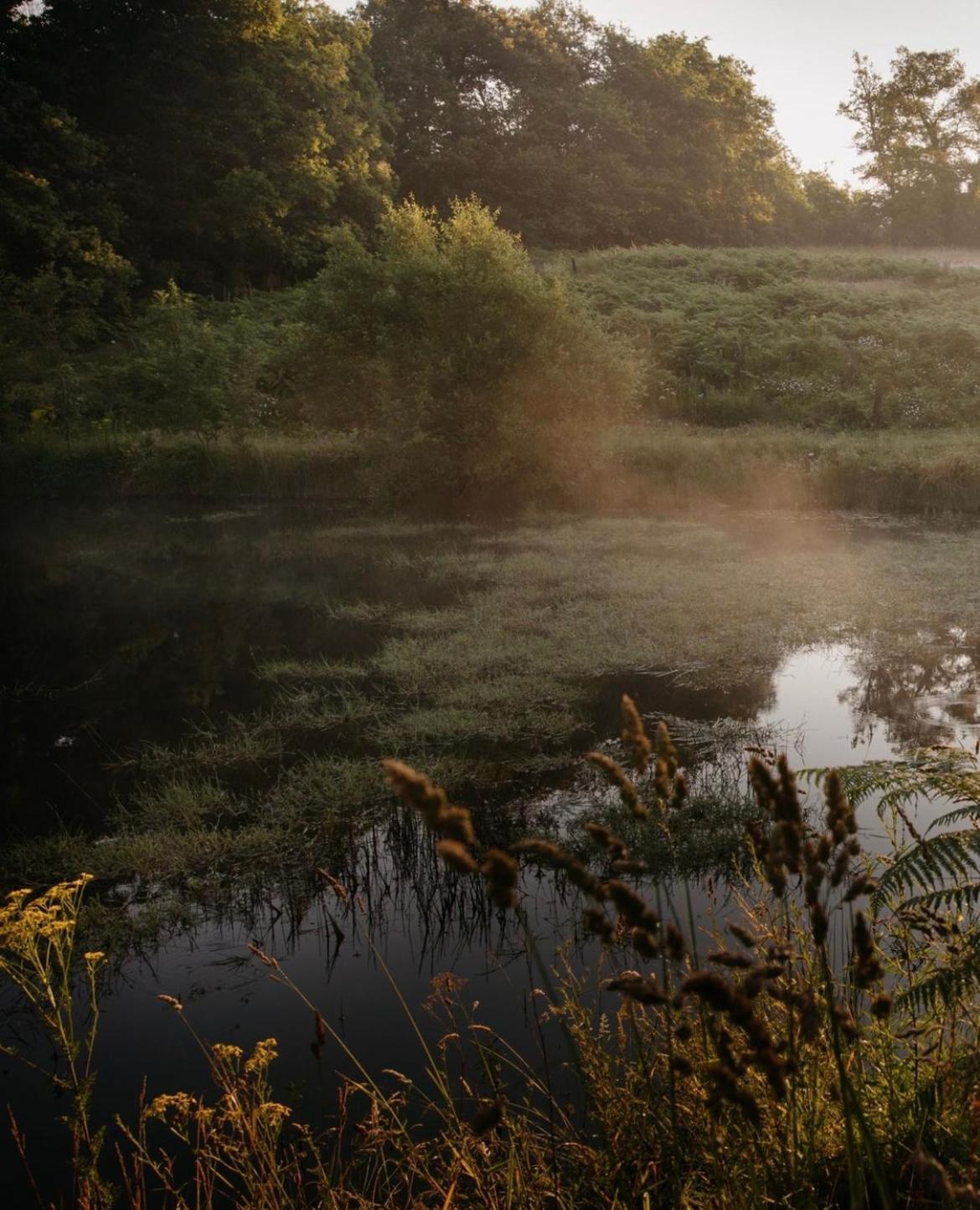 La Ferme Du Pont De Maumy, Cabane Au Bord De L'Etang Et Bain Nordique Busserolles Bagian luar foto